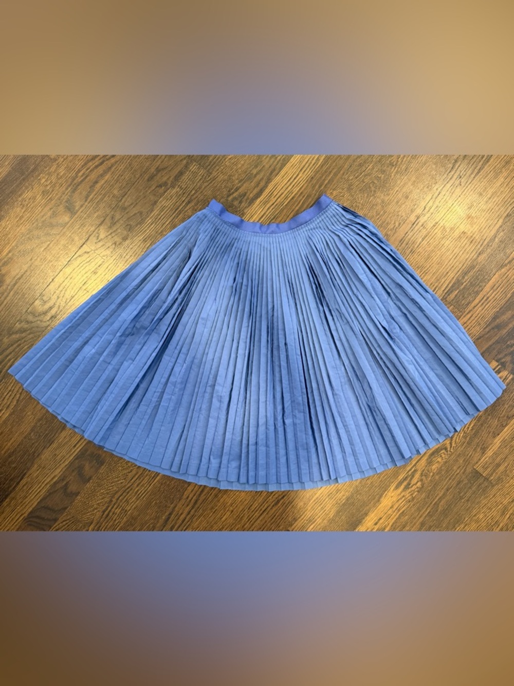 Banana Republic Periwinkle Pleated Skirt